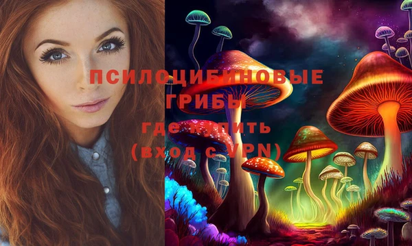 гидра Алексеевка
