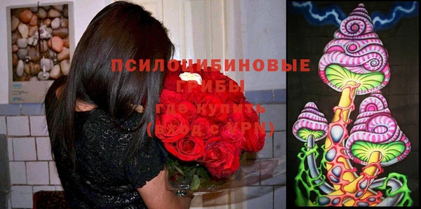 каннабис Абаза
